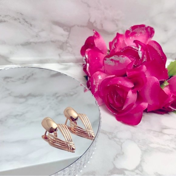 585 Rose Gold Plated Geometry Hollow Earrings - Picture 7 of 9